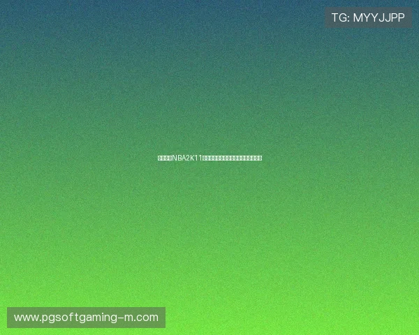 全面解析NBA2K11汉化补丁安装及优化技巧提升游戏体验 全面解析NBA2K11汉化补丁安装及优化技巧提升游戏体验